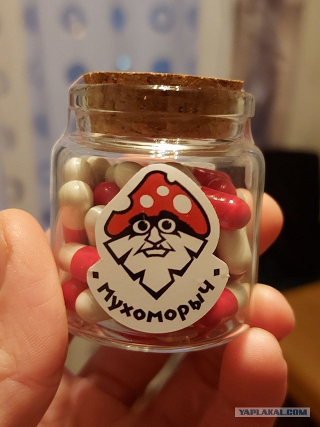 Мухоморы: яд или лекарство?