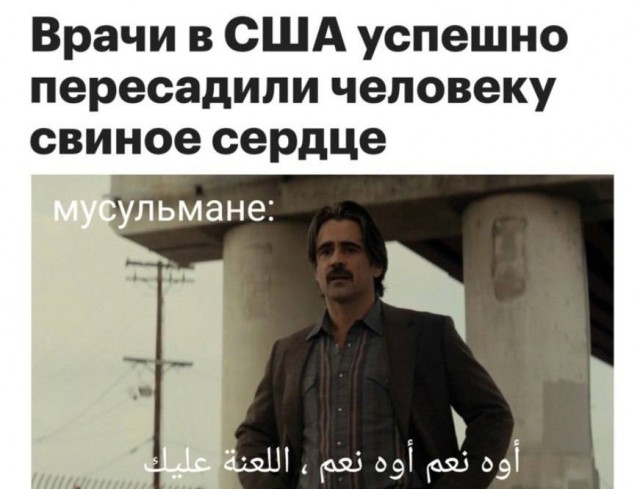Занимательная теология