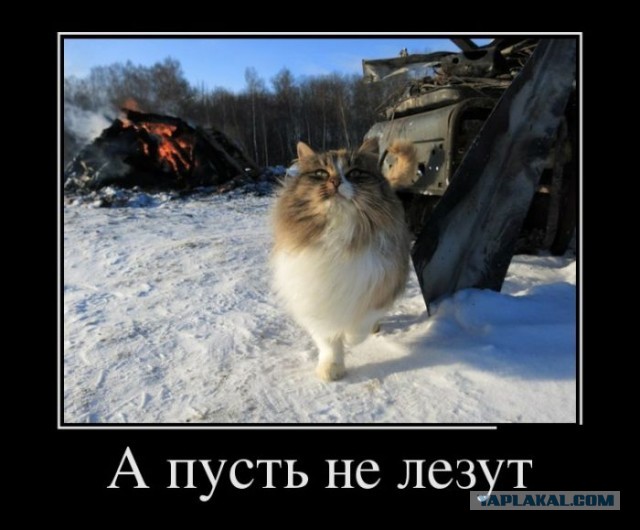 Невыносимая атмосфера на работе, как бороться?