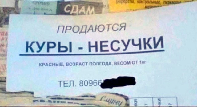 Немного картинок для взрослых 15.07.23