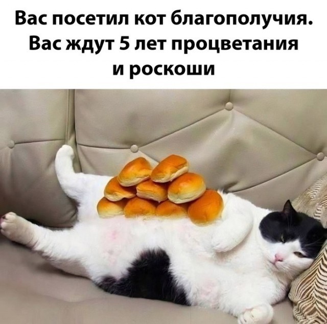 Недопятница 09-11-2023