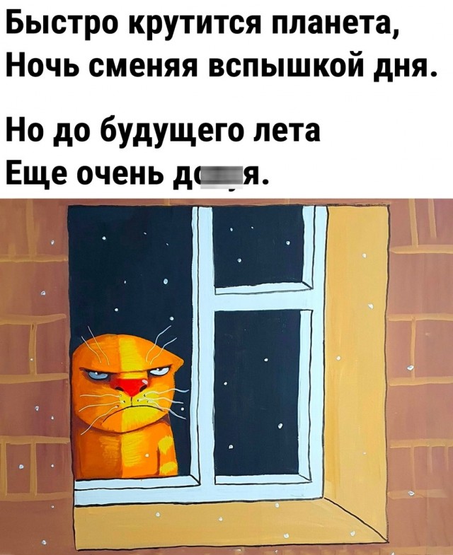 Так себе картинки 17.01.24