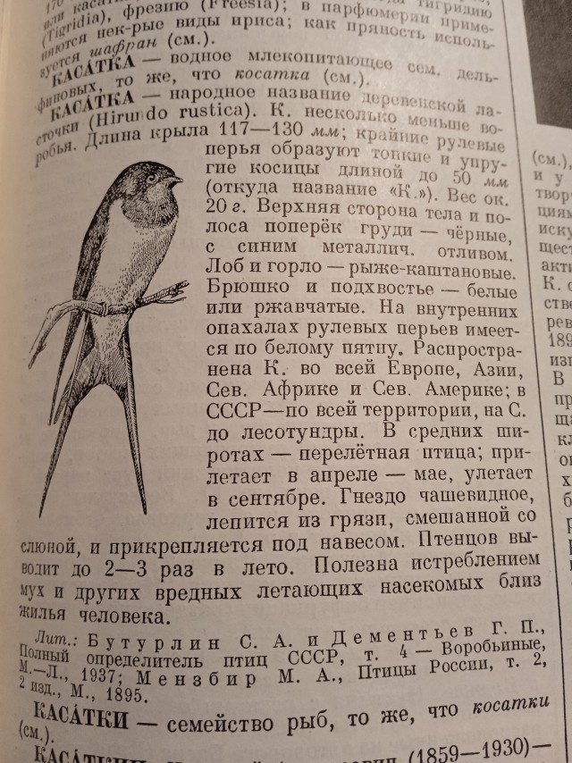 Голосом Дроздова
