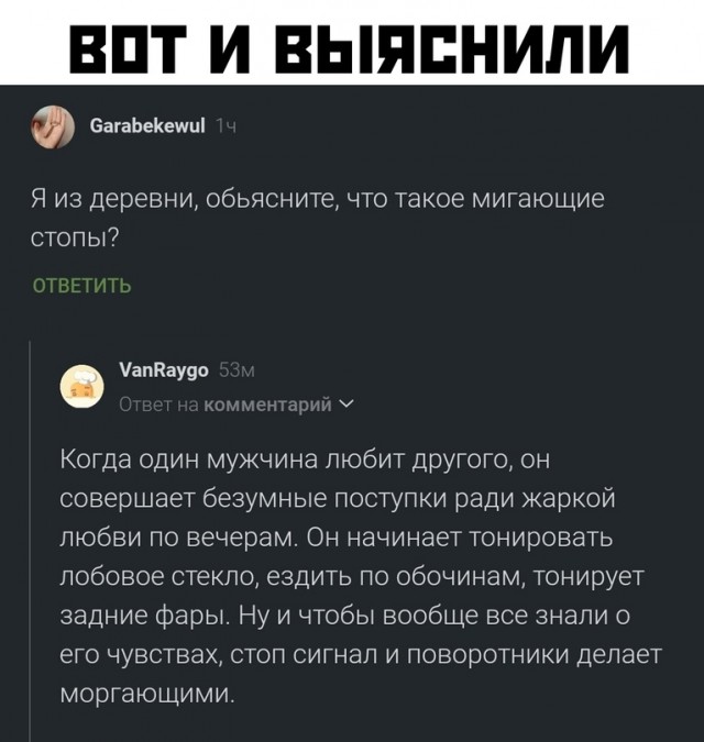 Весёлый полтишок 02.04.24
