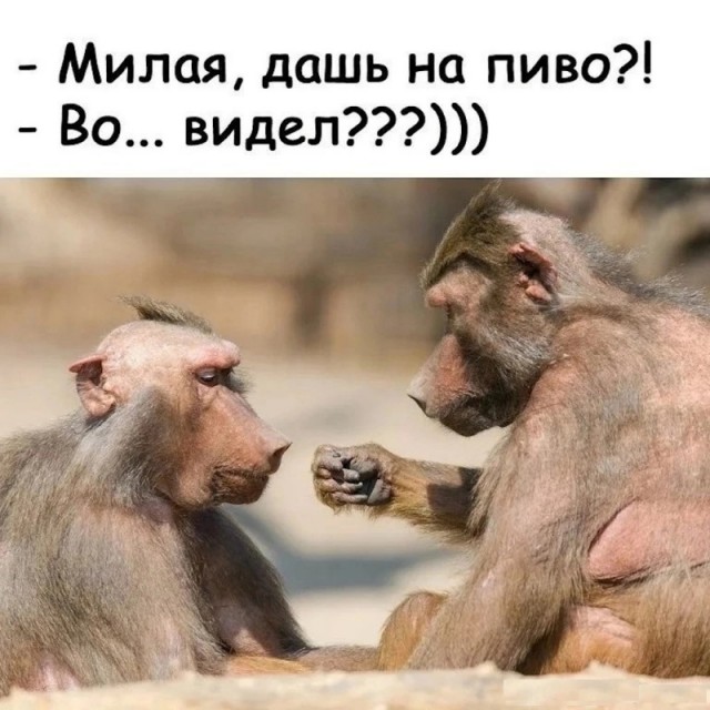 Алкопост