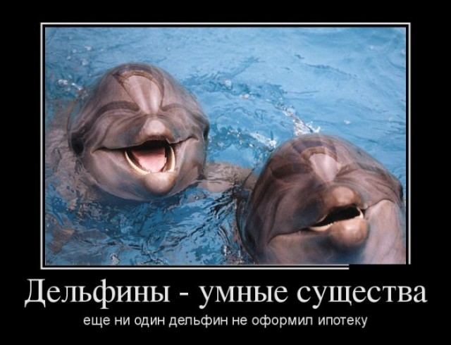 Вот что говорят учёные о существовании инопланетян