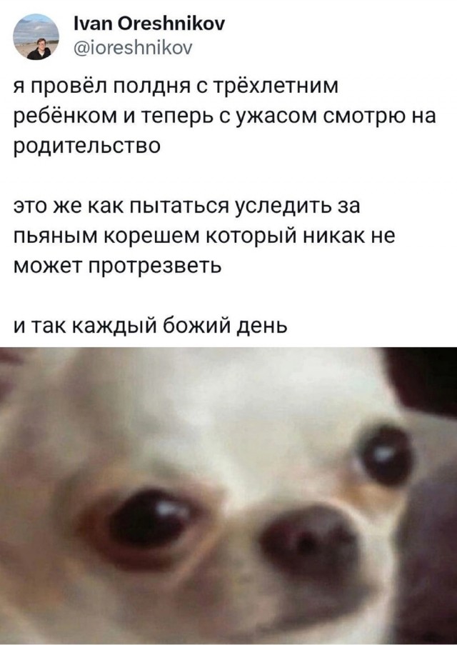 Весёлый полтишок 04.06.24