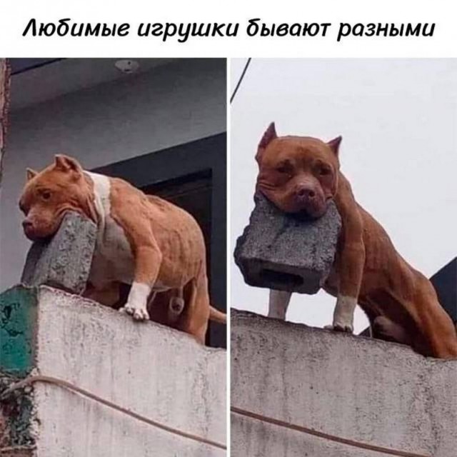 Картинки разные с надписями и без