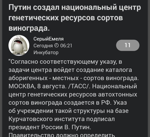 И до нас долетело