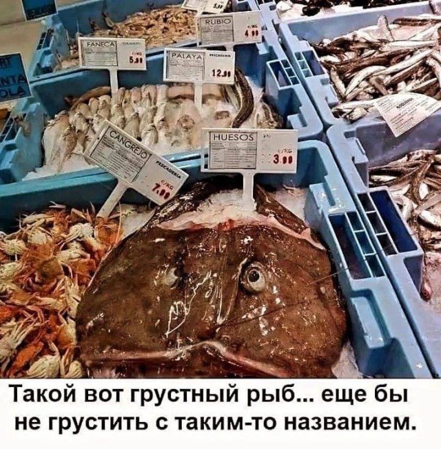 Всего понемногу. От 16 сентября