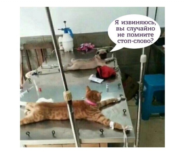 Завалялось тут случайно немного забавных картинок