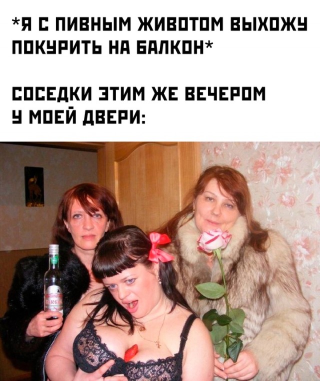 Весёлый полтишок 25.12.24