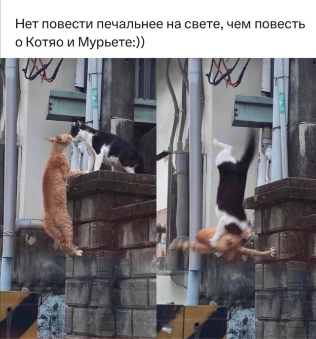 Сброс балласта. Картинки