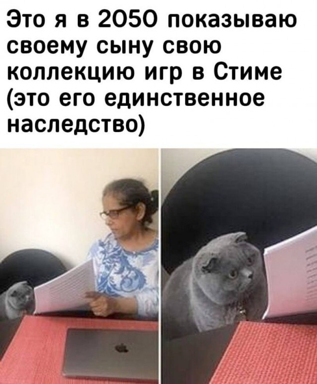 Холостяцкая бытовуха
