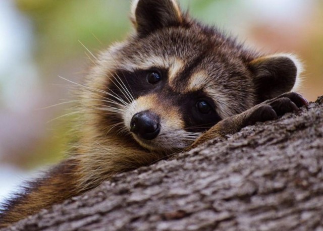 Прикольные и просто красивые картинки 04.04.2025