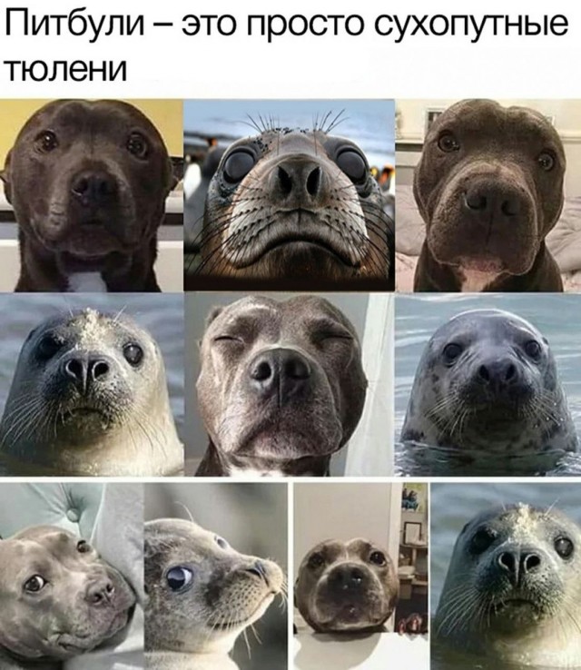 Так себе картинки 10.06.25