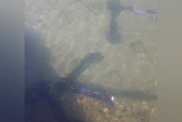 Три утопленных электросамоката достали из Байкала в Слюдянке.