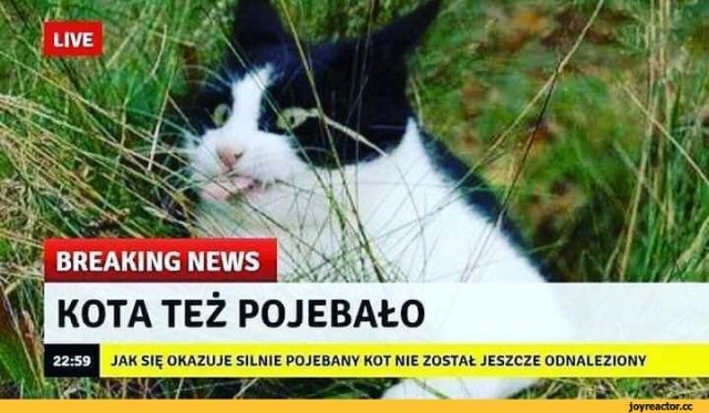 Межславянский язык