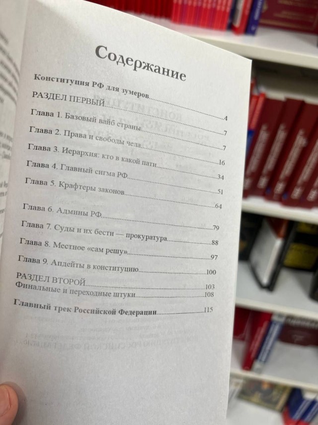 Конституцию для зумеров обнаружили в Читай-городе