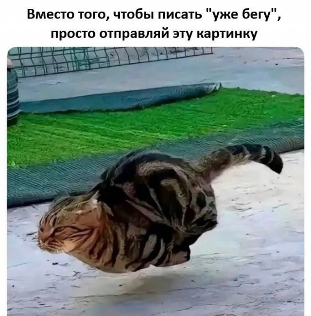 Так себе картинки 27.12.25