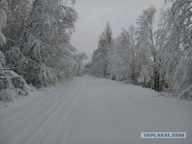 Зимняя дорога