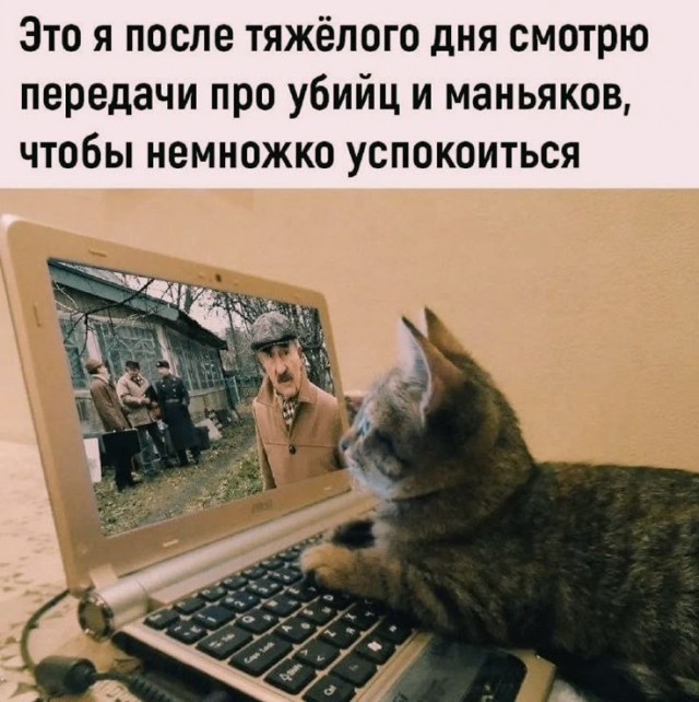 Ударим по баянам ?‍↔️