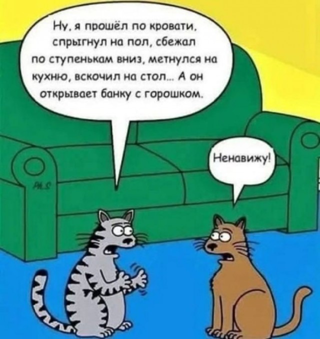 Картинки для деградации 136 (разной степени свежести