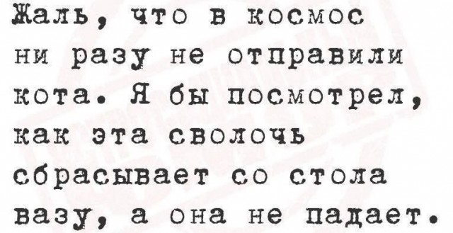 Картинки
