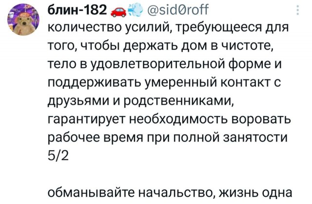 Потная гамсахурдия №2 - веселые картинки