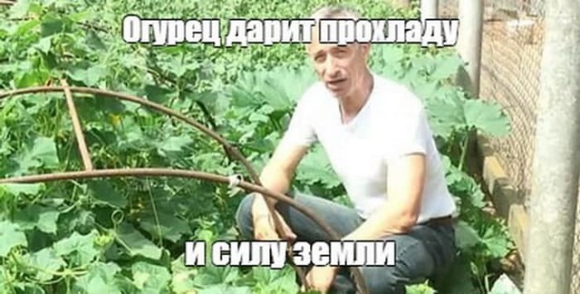 Пенсионеров предлагают лечить пустышками