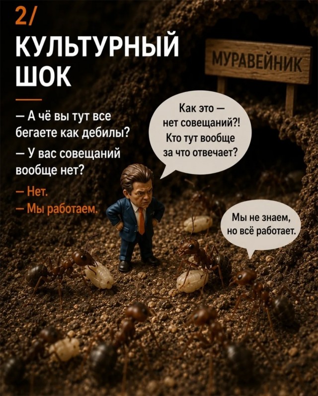 Эффективный руководитель муравейника