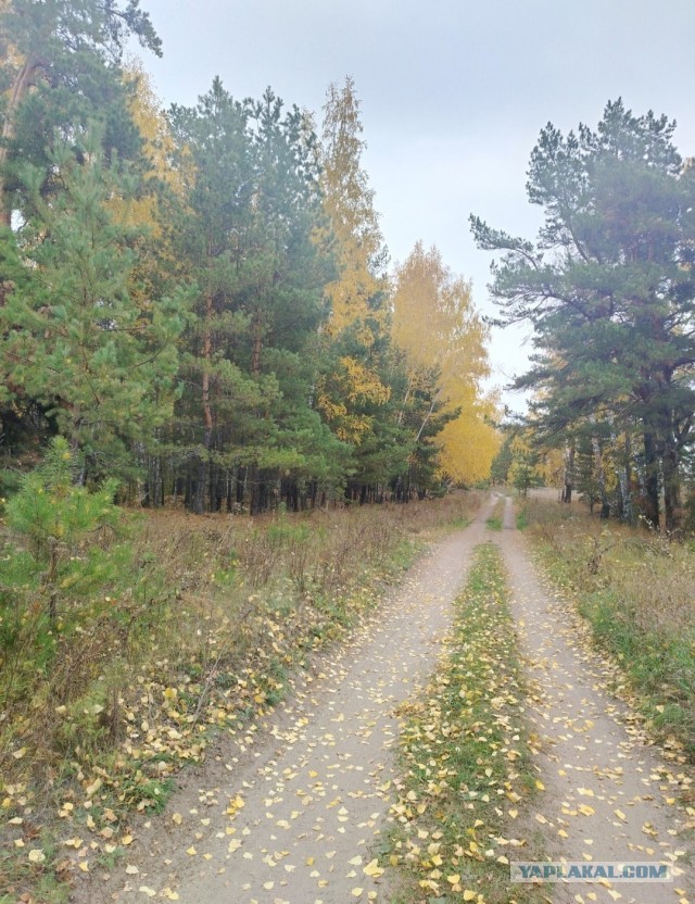Все краски осени