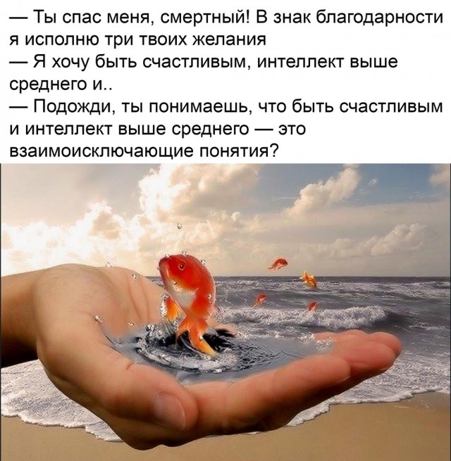 И в чем она не права?