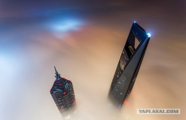 28 самых удачных кадров февраля