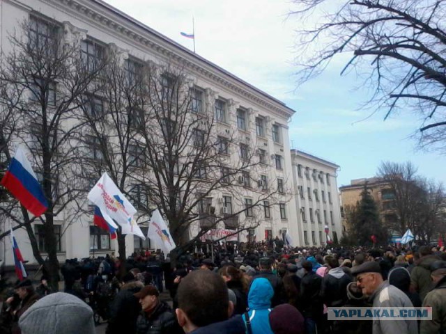 Посвящаю дезинформаторам! Разогнали!