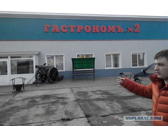 Озеленение Владивостока.