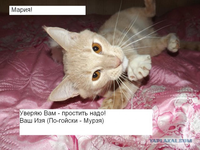 Флешмоб "Помогите спасти любовь"
