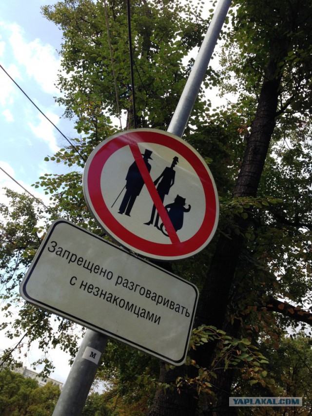 Последнее фото с Вашего телефона.