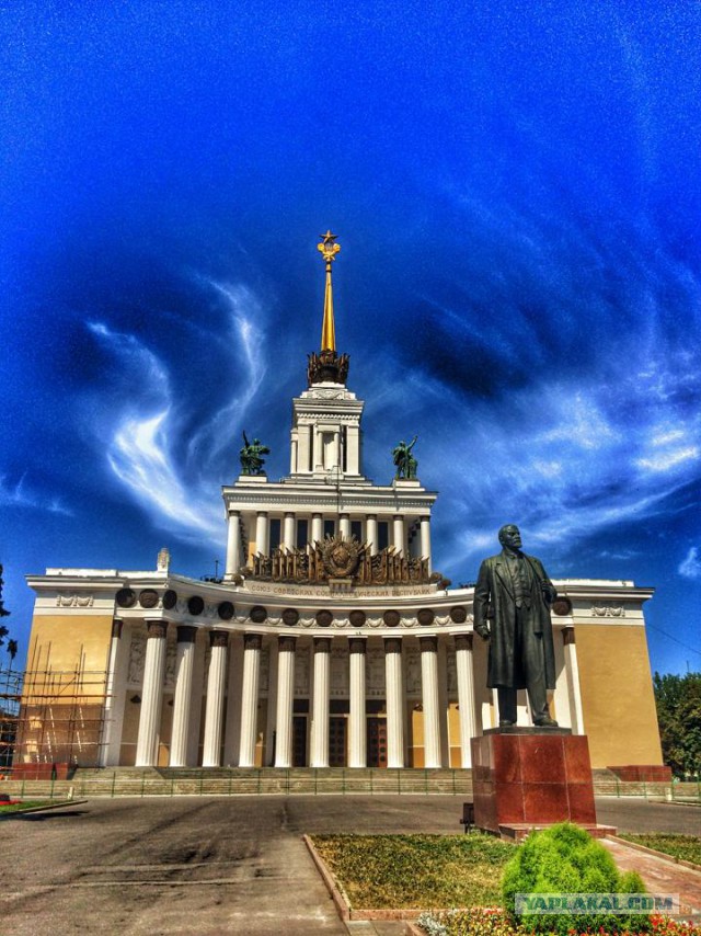 15 любительских фотографий