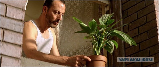 Весь Мир и Вселенная числовая матрица