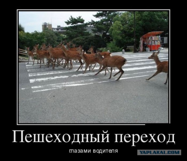 Приколы из сети на 18.05.2015