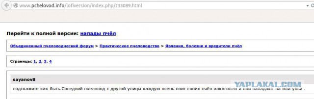 Как муравей пьет самогон