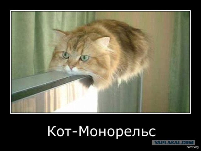 Монорельс 18+