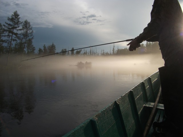 Как я на родину ездил