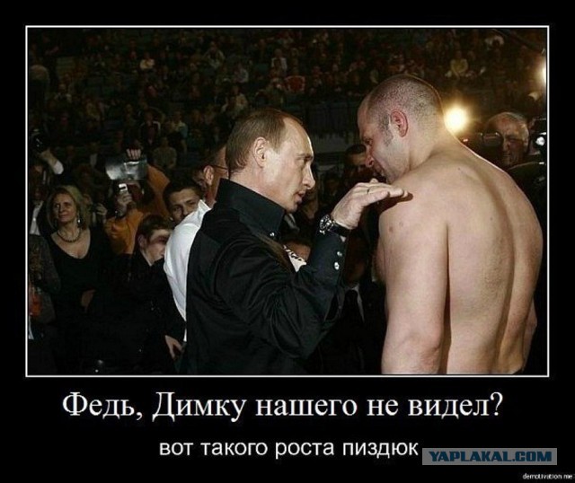 Картинки