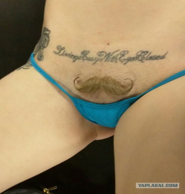 Подборка интересных и веселых картинок