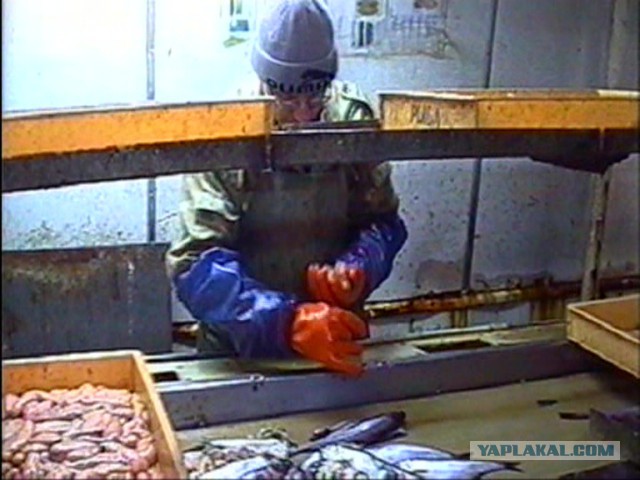 Пахари моря