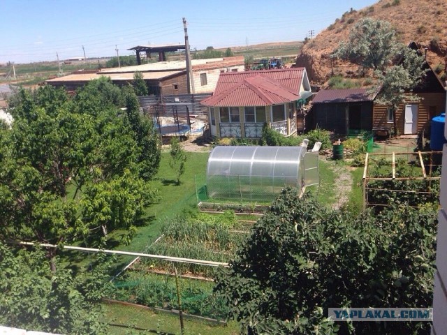 Дачные приколы