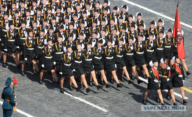 Главным оружием на параде 9 Мая стала путинская «армия в мини-юбках».