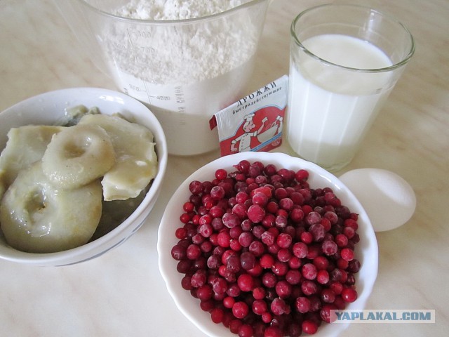 Фастфуд-пикник на день рождения ЯПа